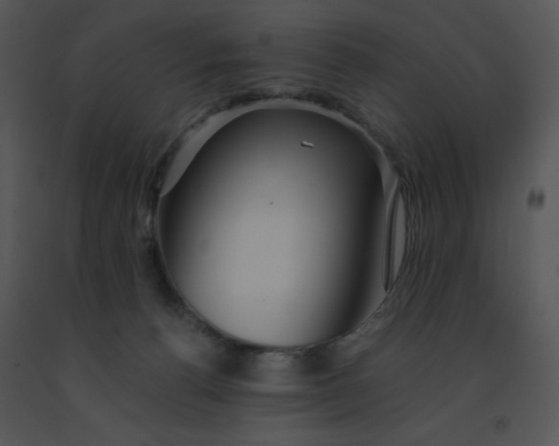 X0000091360176200708311512