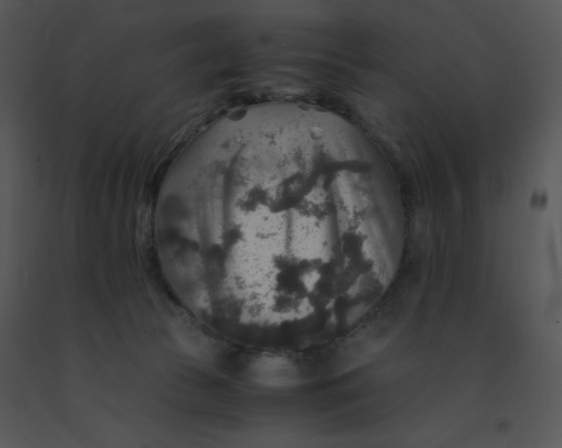 X0000091360177200708311512