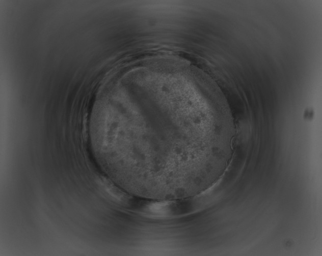 X0000091360178200708311512