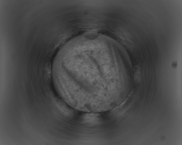 X0000091360179200708311512