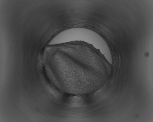X0000091360180200708311512