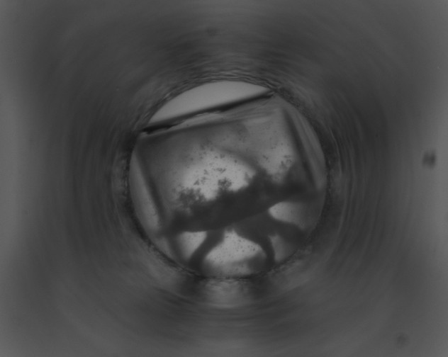 X0000091360181200708311512