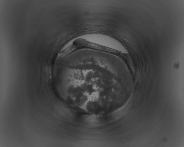 X0000091360182200708311512