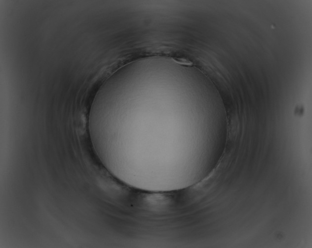 X0000091360183200708311512