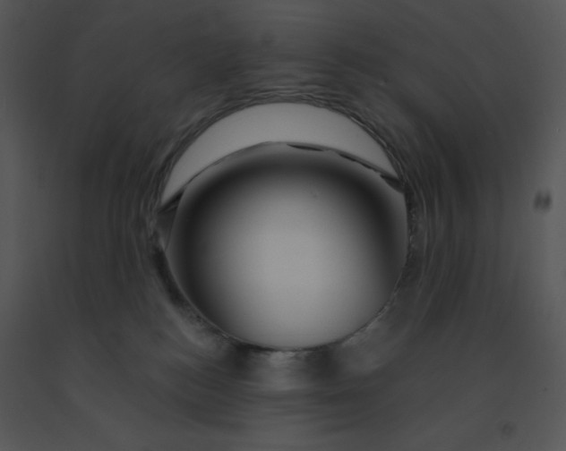 X0000091360184200708311512