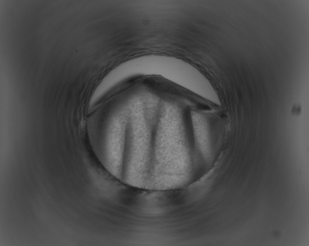 X0000091360186200708311512