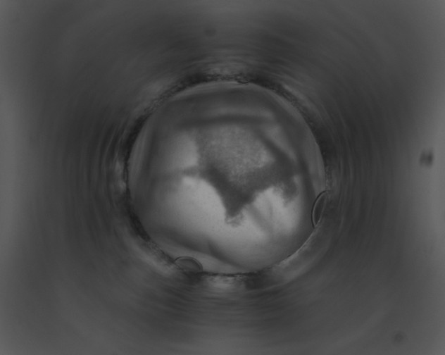 X0000091360187200708311512