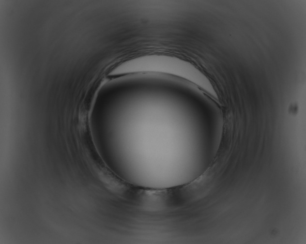 X0000091360188200708311512