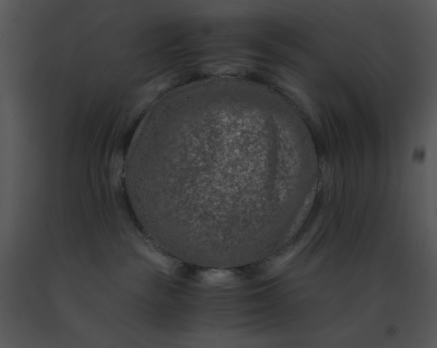 X0000091360189200708311512