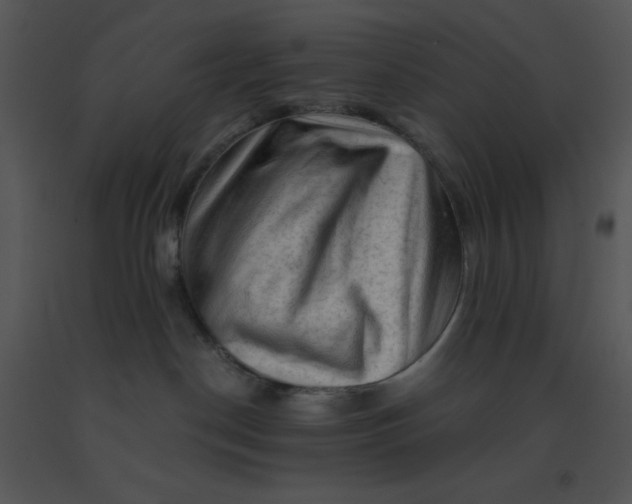 X0000091360190200708311512
