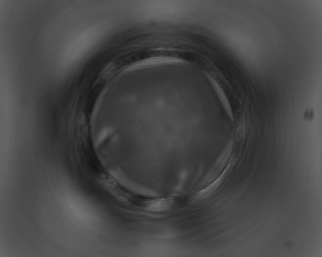 X0000091360191200708311512