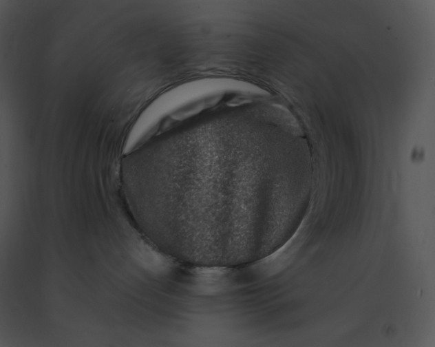 X0000091360192200708311512