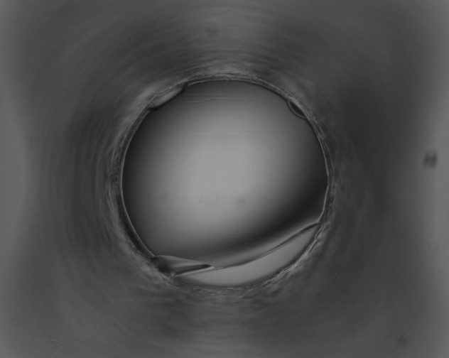 X0000091360193200708311512
