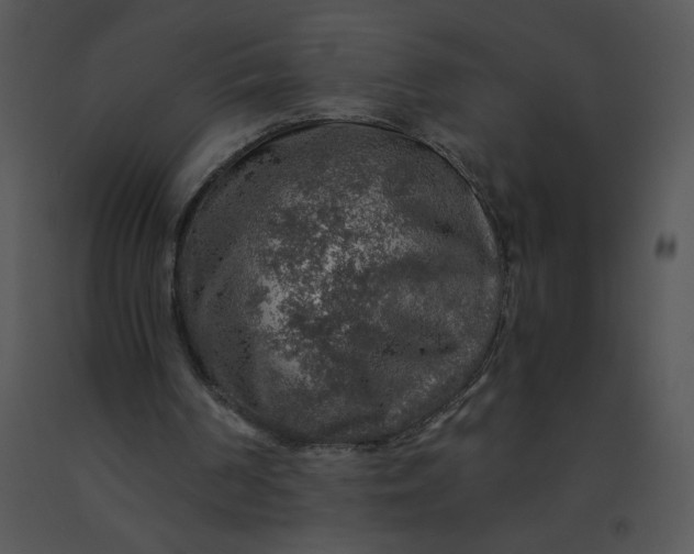 X0000091360194200708311511