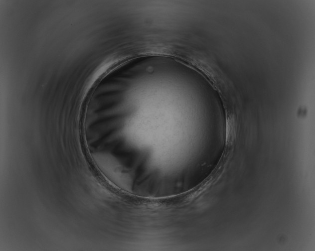 X0000091360195200708311511