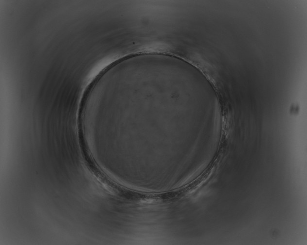 X0000091360196200708311511