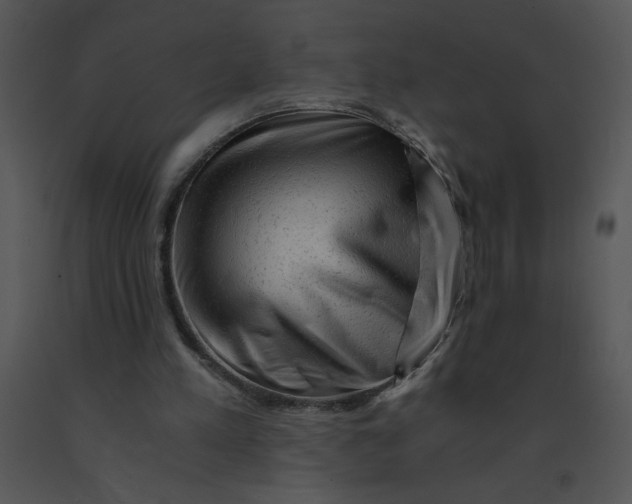 X0000091360197200708311511