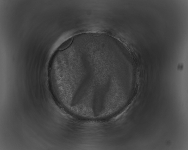 X0000091360198200708311511