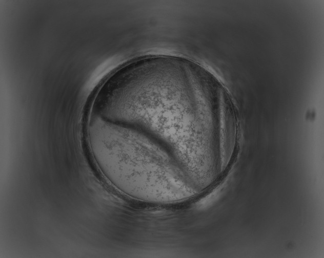 X0000091360199200708311511