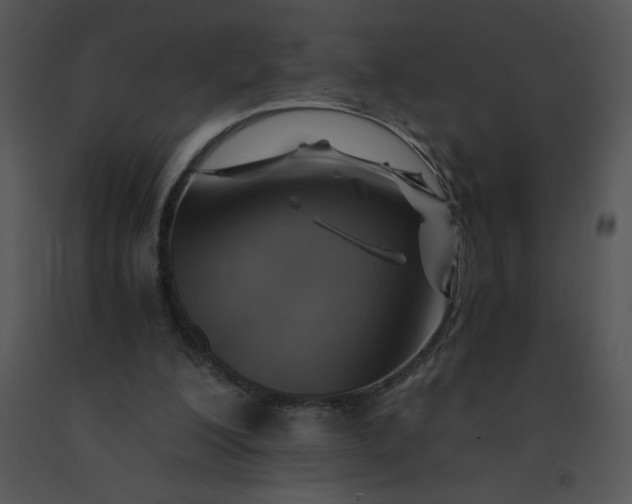 X0000091360200200708311511