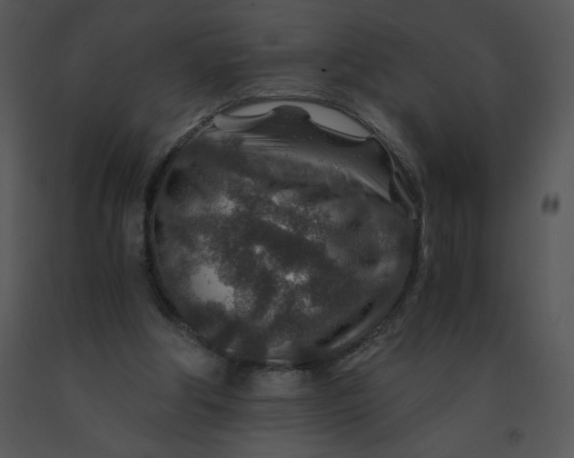 X0000091360202200708311511