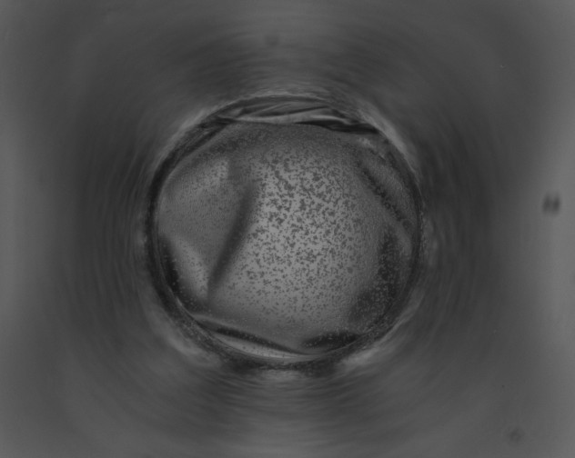 X0000091360203200708311511