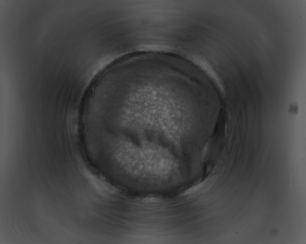 X0000091360204200708311511