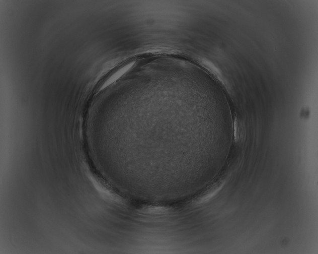 X0000091360205200708311511