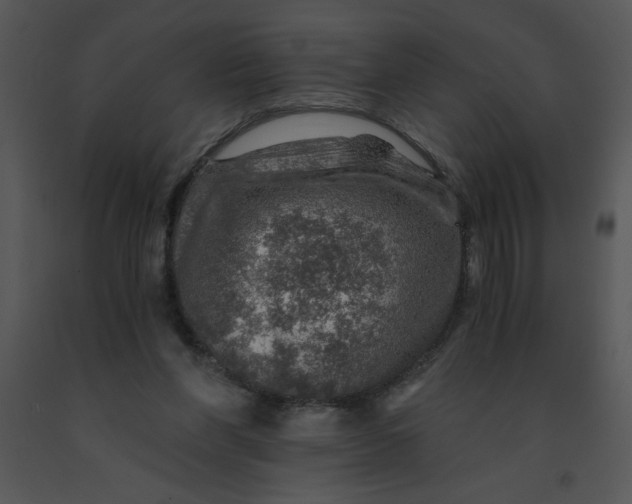 X0000091360206200708311511
