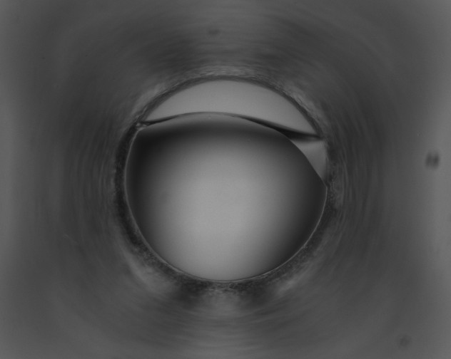 X0000091360207200708311511