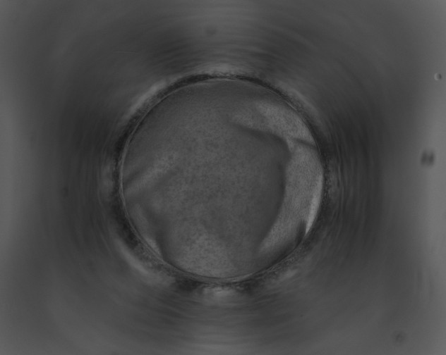 X0000091360208200708311511