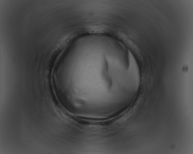 X0000091360209200708311511