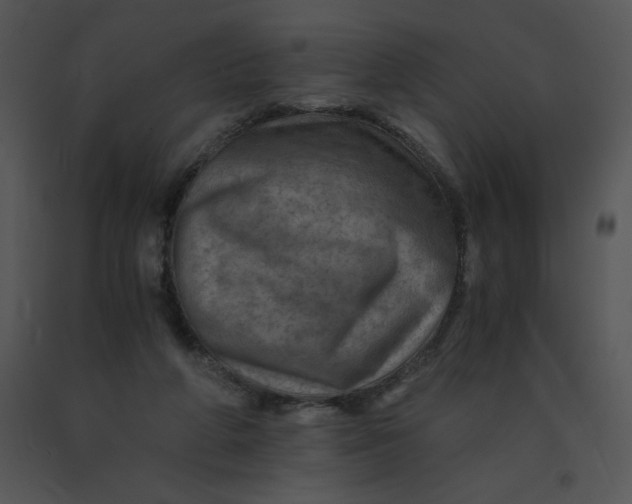 X0000091360210200708311511