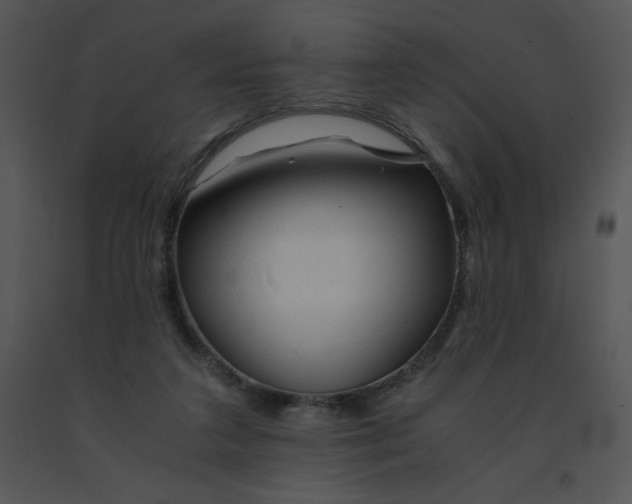 X0000091360211200708311511