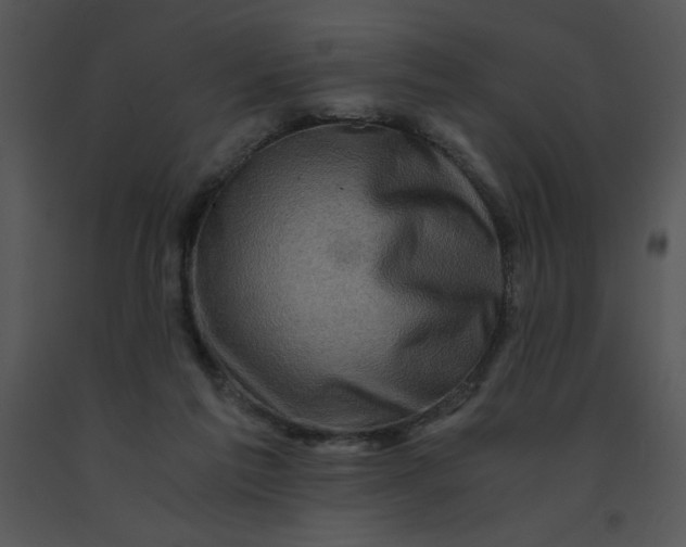 X0000091360213200708311511