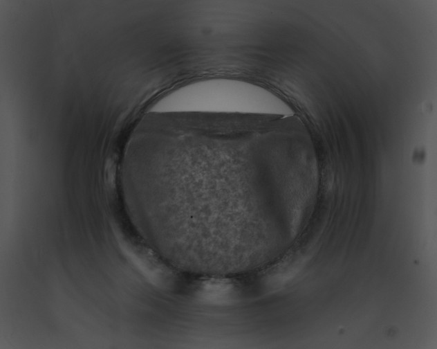 X0000091360214200708311511