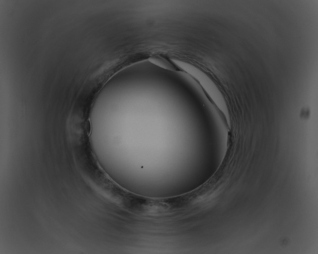 X0000091360215200708311511