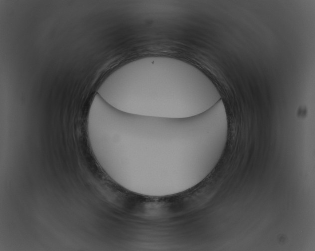 X0000091360216200708311511