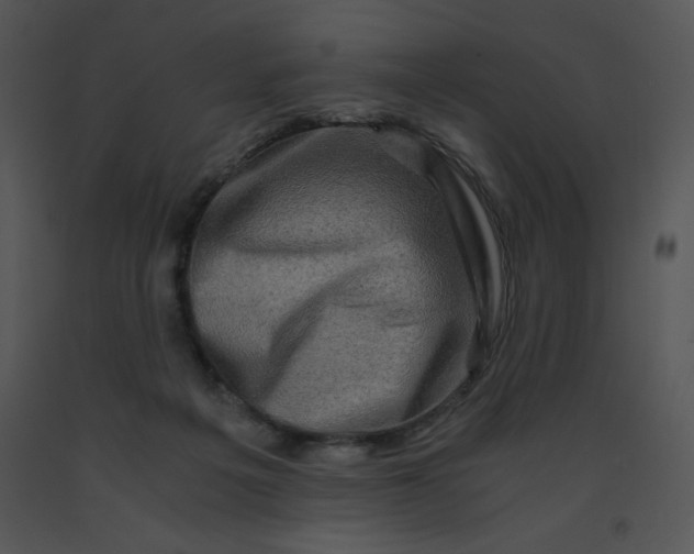 X0000091360217200708311511