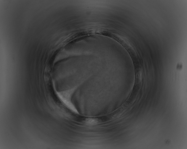 X0000091360218200708311511