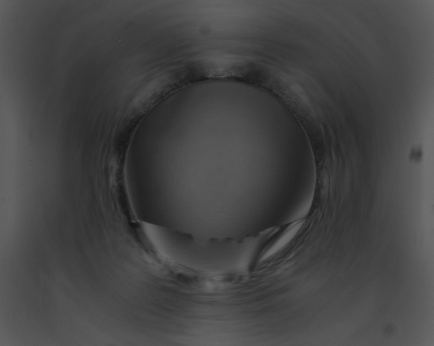 X0000091360219200708311511