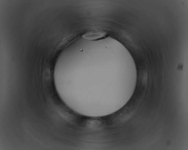 X0000091360220200708311511