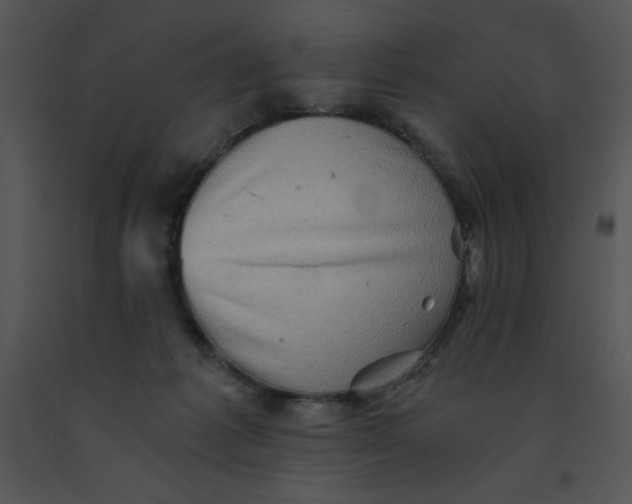 X0000091360221200708311511