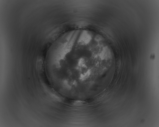 X0000091360222200708311511
