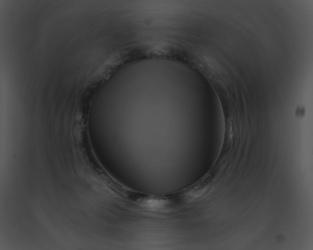 X0000091360223200708311511