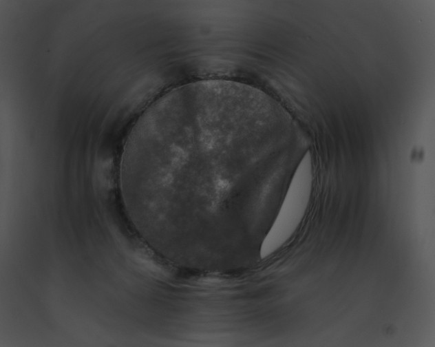 X0000091360224200708311511