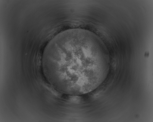 X0000091360226200708311511