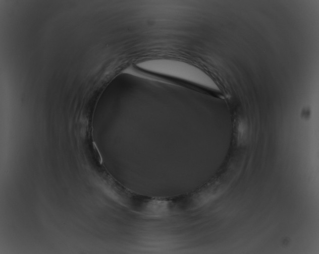 X0000091360227200708311511