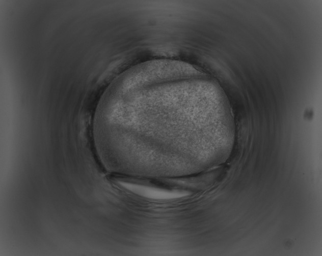 X0000091360229200708311511