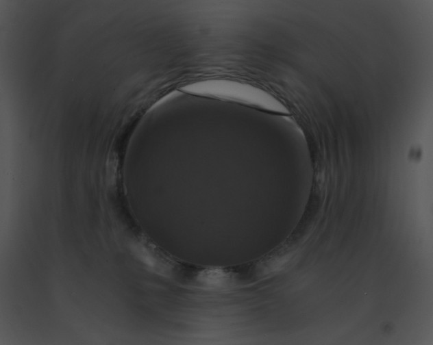 X0000091360231200708311511